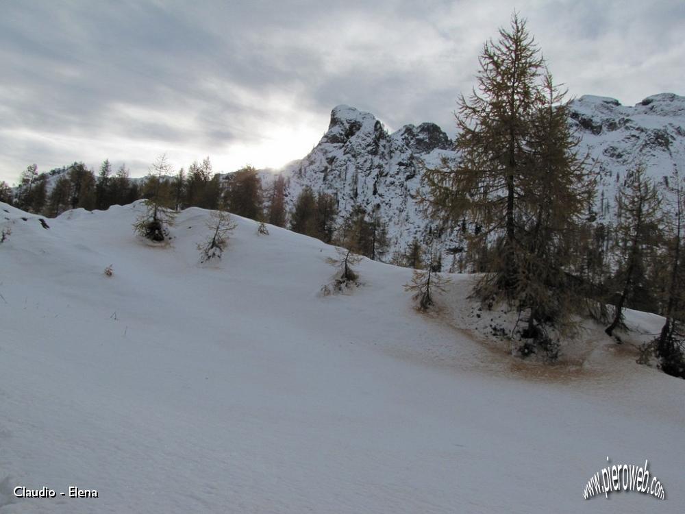 05 I larici perdono gli aghi.JPG